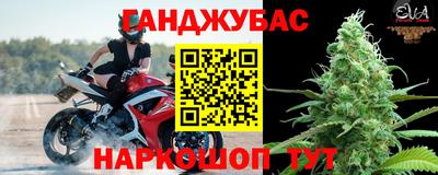 сатива Бийск