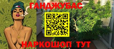 PSILOCYBIN Конаково