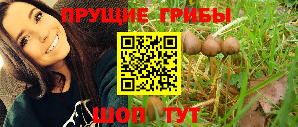 Псилоцибиновые грибы прущие грибы Ишим
