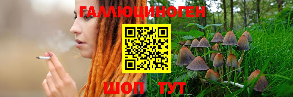 Ишим  Галлюциногенные грибы MAGIC MUSHROOMS  Вход с VPN  Галлюциногенные грибы GOLDEN TEACHER 